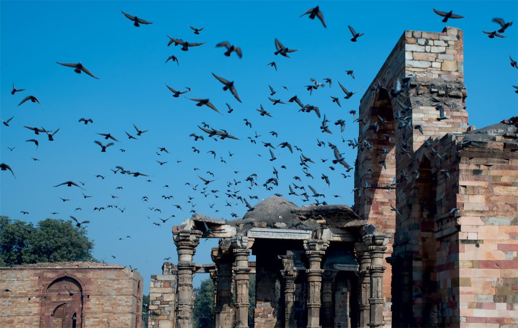 Humayun's Tomb