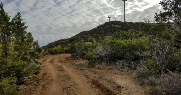 Hog Hunting – Dos Plumus Ranch, West Texas